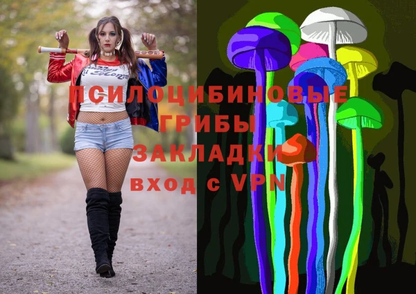 spice Алексин