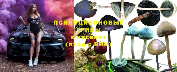 мет Алзамай