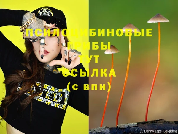 мет Алзамай