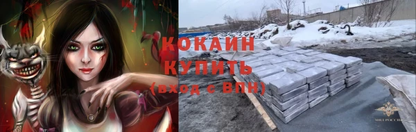 spice Алексин