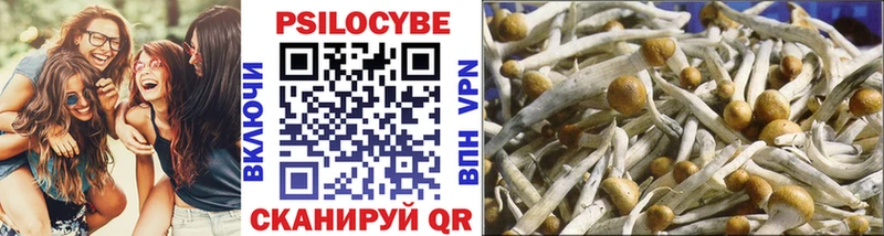 Псилоцибиновые грибы Psilocybine cubensis  OMG зеркало  Данилов 