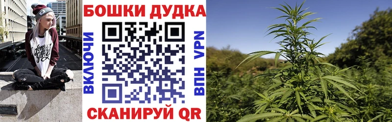 Бошки Шишки MAZAR  как найти наркотики  Данилов 